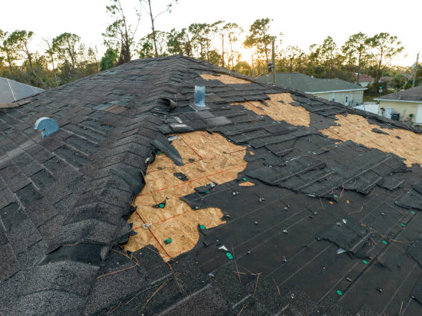 Best Roofing for New Construction  in Amelia, LA