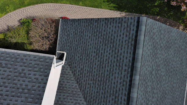 Professional Roofing Services in Amelia, LA